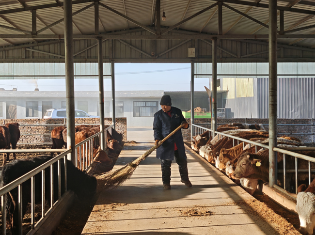 栏杆堡镇：人居蝶变展新颜 特色种养促振兴