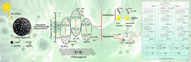 西安建大科研团队研发双Z型生物炭基新材料高效去除水中新污染物