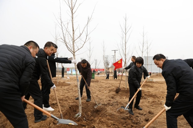 陕西眉县：“植”此青绿 共“树”生态