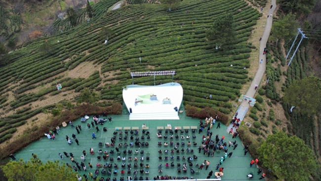 陕西镇巴：科技赋能茶产业 春茶开园促振兴