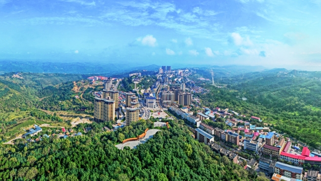 宜君县经济贸易和科技局：锚定重点产业 激活发展动能 奋力书写“十五五”开局新答卷