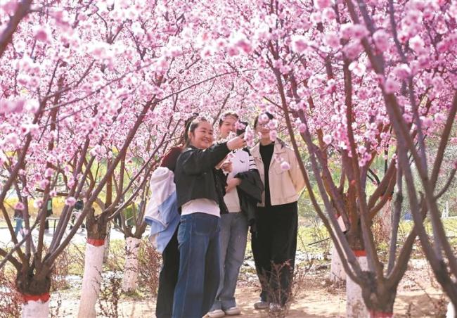 清明假期陕西消费市场稳步增长