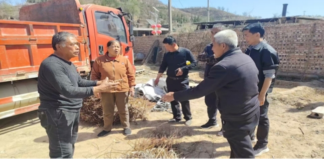 陕西清涧县：红梅杏铺就致富路 庭院经济绘就邓家圪崂振兴新图景