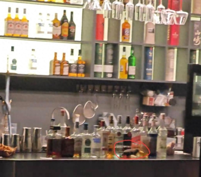 网友反映西安一酒吧老鼠在吧台乱窜啃食薯条 官方：已责令整改，但顾客与店方未能就赔偿达成一致