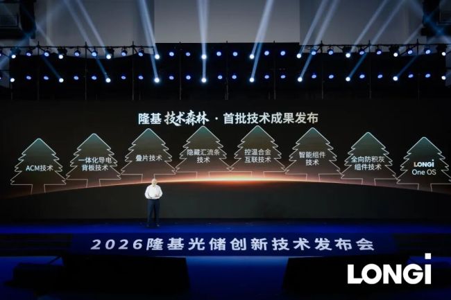 从RCZ到“技术森林”：隆基揭秘下一代光伏底层技术