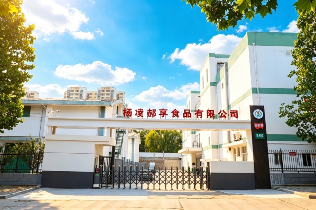 西安郝享食品集团：一张面饼的全球化征途