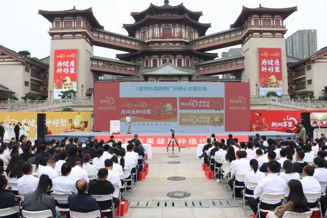 陕西彬州：擦亮区域公用品牌 筑牢健康种植根基
