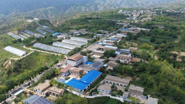 黄土高原上的“创业史” 吴堡县国家乡村振兴示范县创建纪实