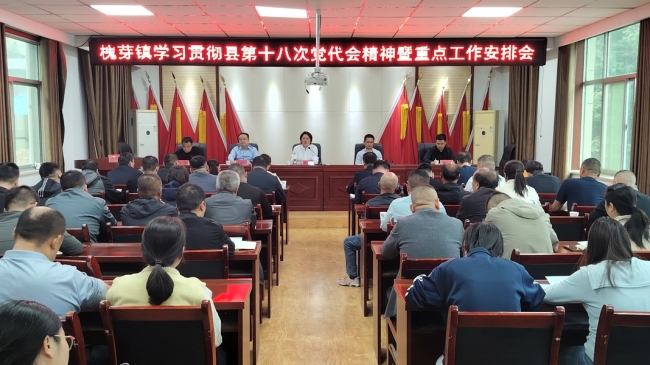 眉县槐芽镇召开学习贯彻县第十八次党代会精神暨重点工作安排会