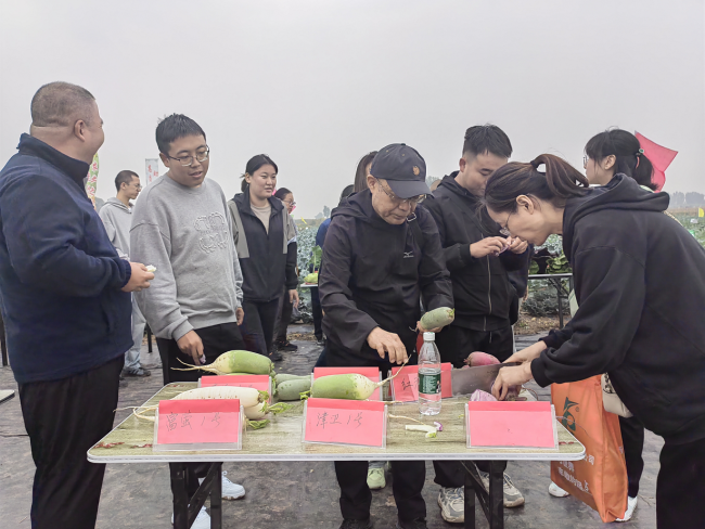 2024年太原秋季露地蔬菜地展博览园新品种观摩会在清徐成功举办