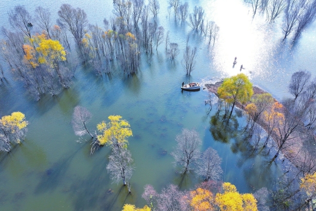 湿地公园景如画