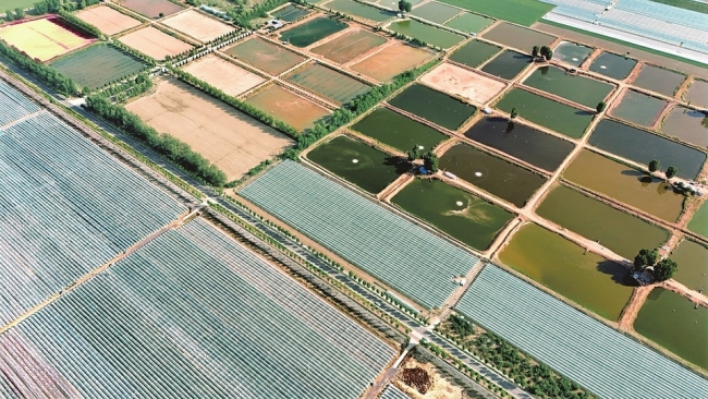 现代农业新图景
