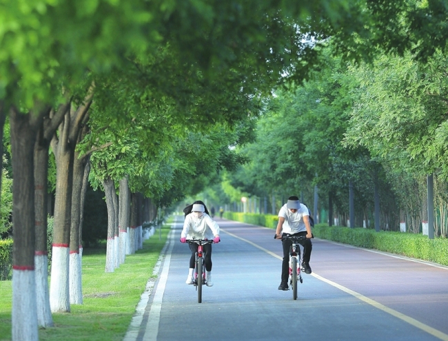 太原滨河自行车专用道碧树成荫 市民骑行穿梭其间