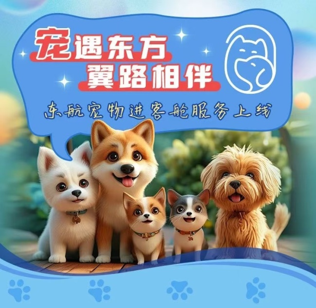 宠物进客舱，东航在山西开启人宠同行新模式