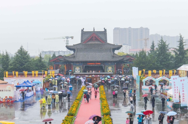 秋雨无阻思乡人，洪洞大槐树景区国庆雨中演出互动显温情