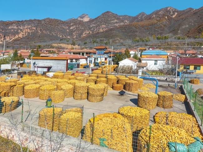 左权县拐儿镇西五指村：美丽的乡村画卷