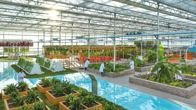 智能化温室 工厂化育苗