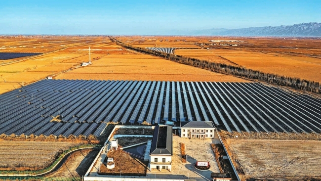 盐碱滩涂变身绿电基地