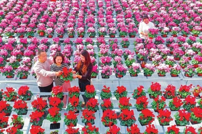 长治上党：选购鲜花