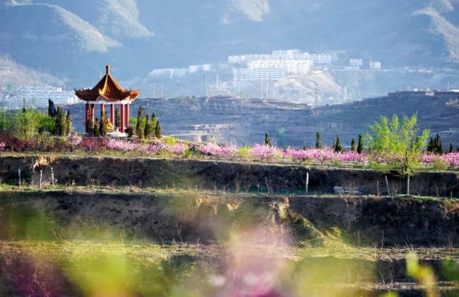 Spring Rambles in Shanxi: Yangquan