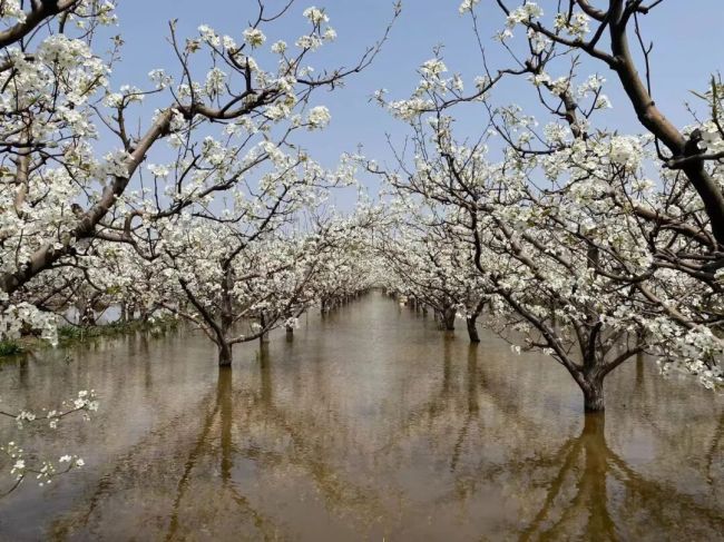 Spring Rambles in Shanxi: Lüliang
