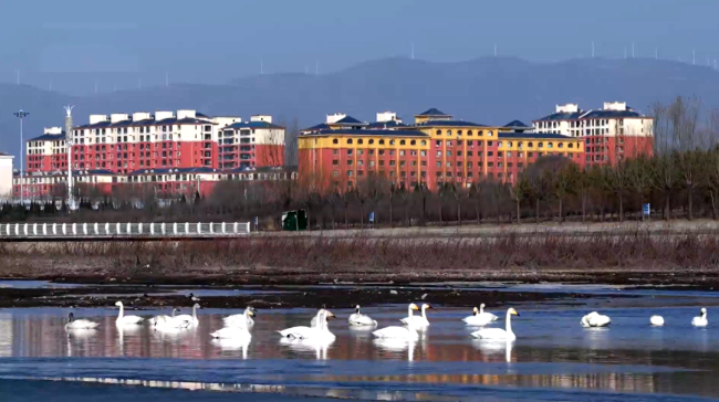 Spring Rambles in Shanxi: Shuozhou