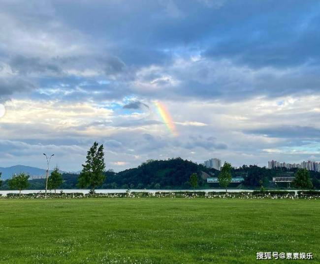 孙艺珍怀上双胞胎？配四叶草和彩虹图：祝你度过好运的日子