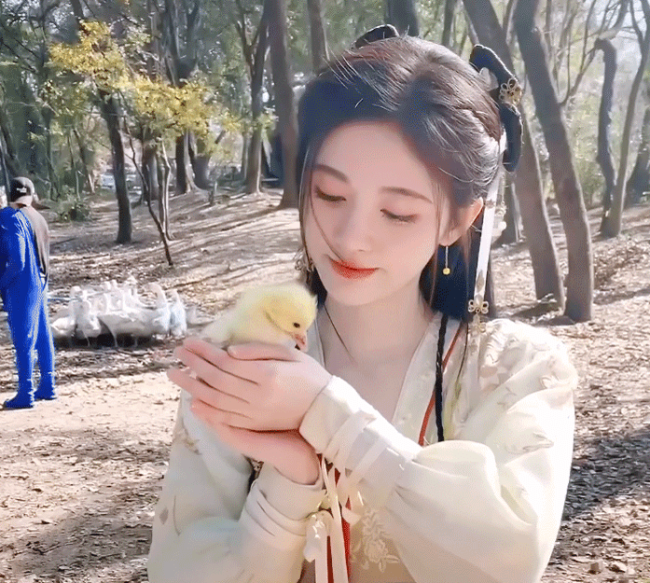 鞠婧祎才是神仙姐姐的最佳人选,看到她抱小鸭子的姿势,仙气十足