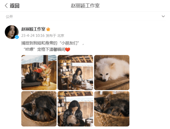 赵丽颖分享惬意生活，抱狗自拍超迷人，面容憔悴引人心疼