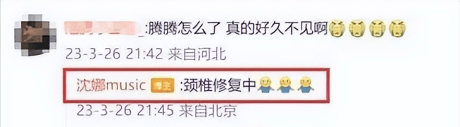 沈腾在日本康复治疗，妻子深夜与男性朋友聚餐，身材壮实像女大佬