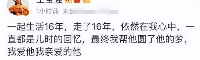 王宝强回老家工作，紧抱爸爸落泪，姐姐罕见现身，姐弟俩长得超像