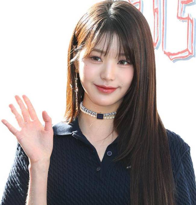 她靠诽谤韩国知名女星张元英，赚取了2.5亿韩元，并购买了房产