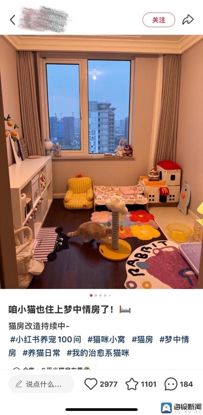 海量财经｜购买猫咪跑步机、心率仪让猫减肥 “宠物细分市场经济”蓬勃发展