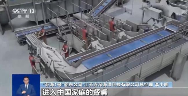海上“牧鱼”成现实 何时能吃上“苏海1号”养殖的三文鱼？