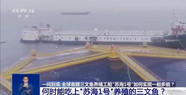 海上“牧鱼”成现实 何时能吃上“苏海1号”养殖的三文鱼？