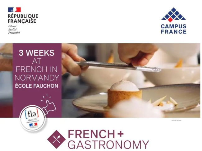 2025French+夏校奖学金申请开启