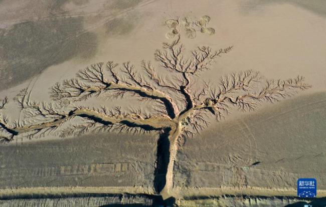 西藏那曲：“天空之树”