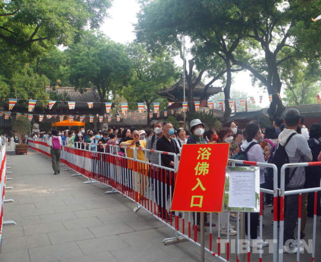 走进广济寺共观佛诞节法会