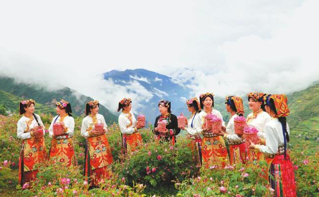 “旅游+”跑出农文旅融合发展“加速度”