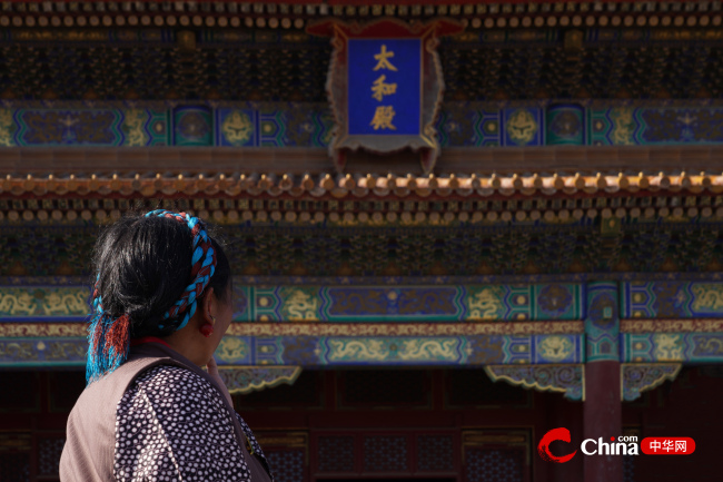 西藏村居两委基层干部参观故宫博物院