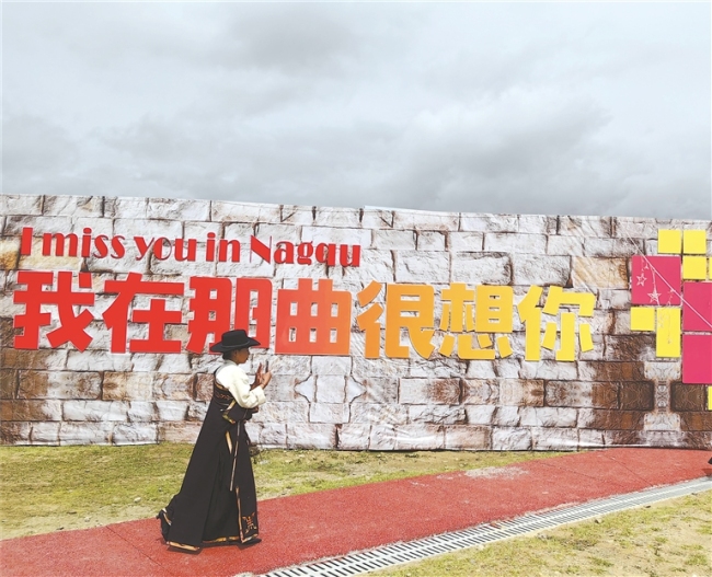 藏北各族儿女自强不息：乡村振兴 那曲奋进