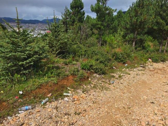 五凤山健身步道沿线垃圾成堆 登山赏景要塑身更要塑心