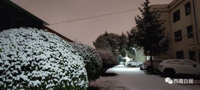 拉萨初雪，如约而至！