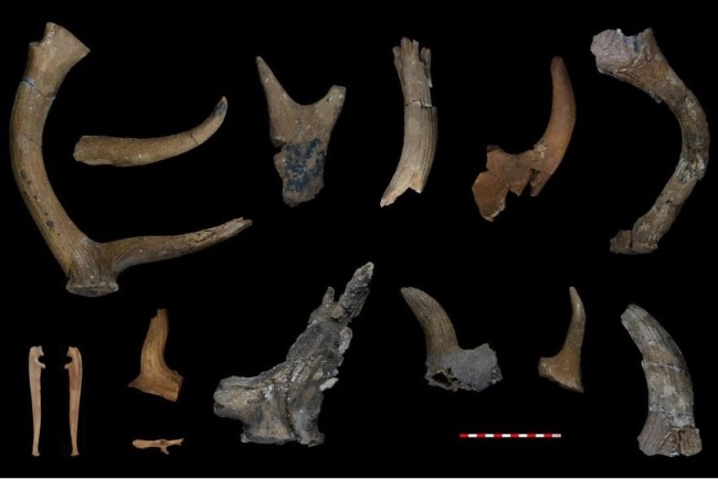 青藏高原腹地史前洞穴遗址考古重大发现:西藏革吉梅龙达普洞穴遗址遗存早于距今5.3万年