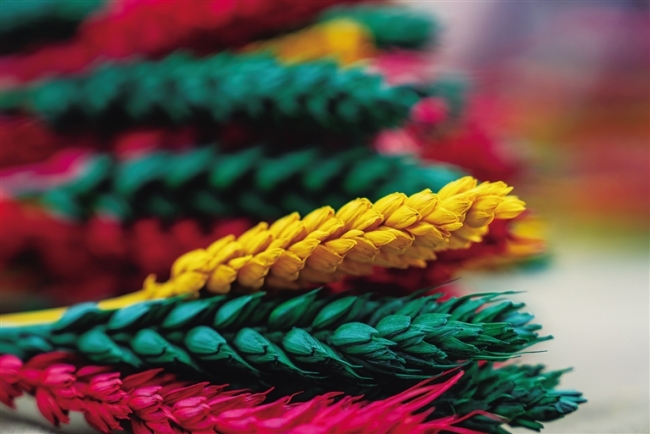 坚守与传承 桑木村的“罗萨梅朵”