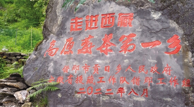 “皖藏一家亲” 真情洒高原