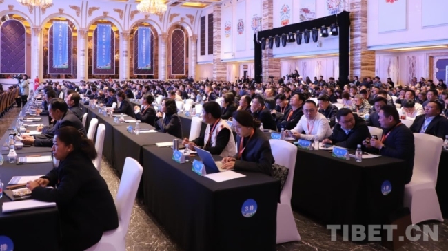 拉萨：到2030年，建设成为具有高原生态和民族特色的国际旅游目的地核心城市