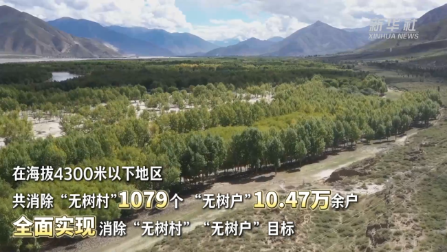 西藏和平解放74周年·生态有守护