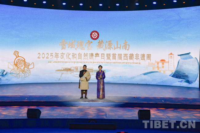 2025年“文化和自然遗产日”暨首届西藏非遗周非遗展演在山南举行