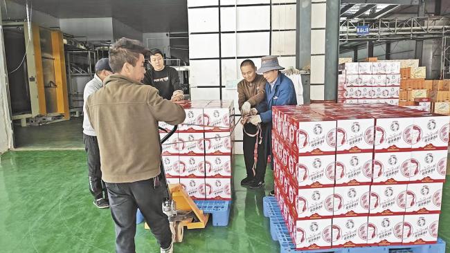 黑青稞酿出乡村振兴“好滋味”